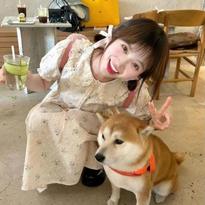 玛莉的回溯之旅