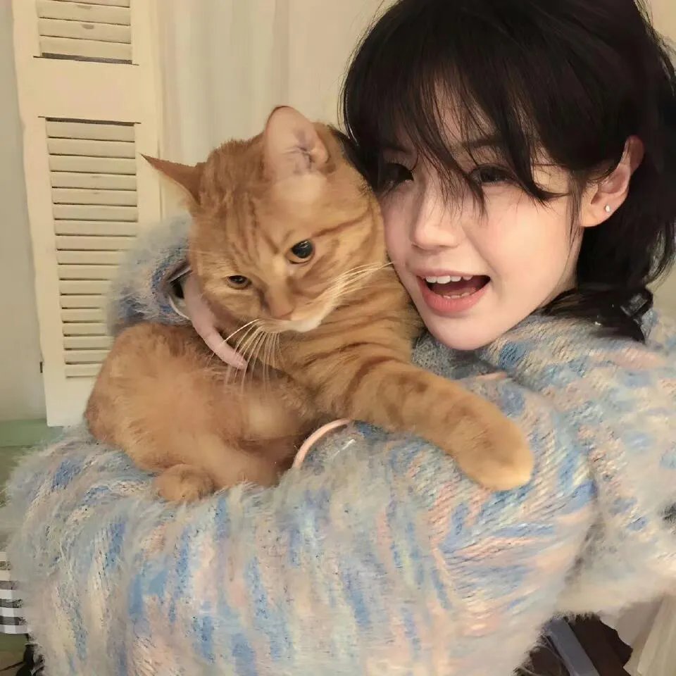 小猪教室